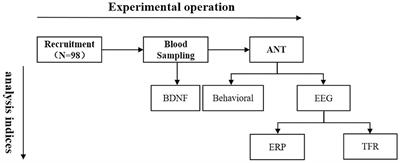 Negative relationship between brain-derived neurotrophic factor (BDNF) and attention: A possible elevation in BDNF level among high-altitude migrants